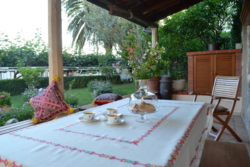 Guest House Jelica Dubrovnik Rum bild